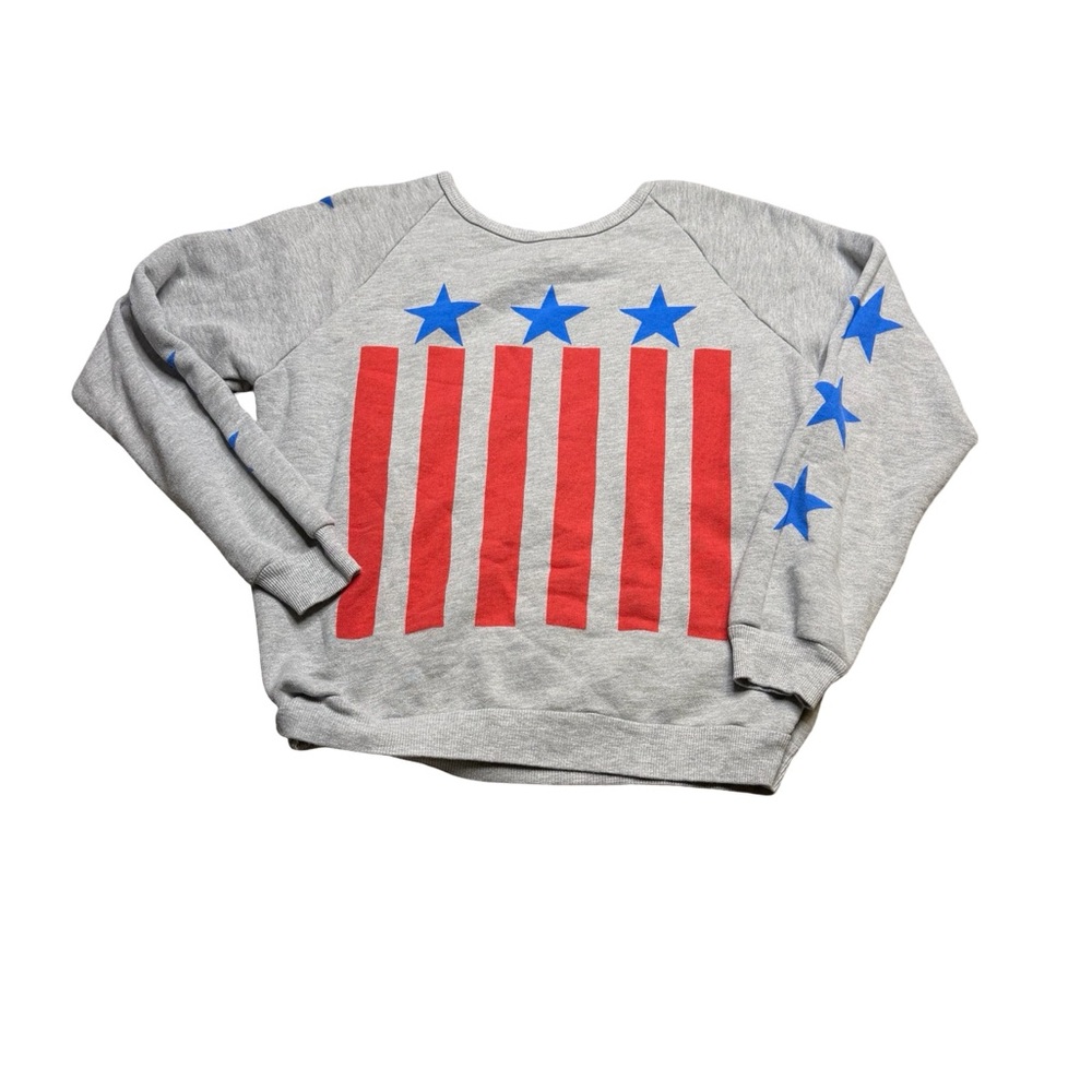 ✨🇺🇸 Wildfox Patriotic Stars & Stripes Sweatshirt Size L 🇺🇸✨